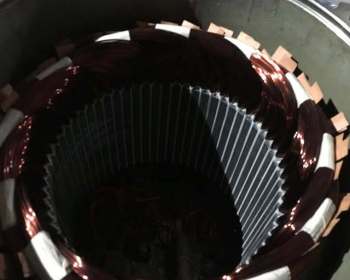 275512585_1315119412245693_8502322127819382272_n