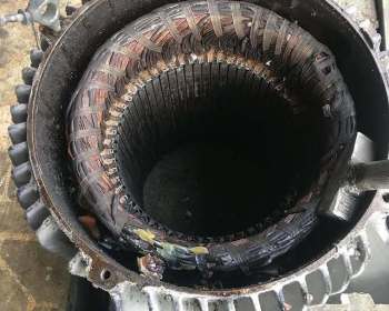 275573291_1039895886735489_6394964391986415079_n