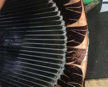 275573613_451024483471563_1294578196091841535_n