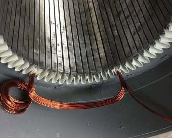 275588303_1650407361977282_6892494480980922607_n