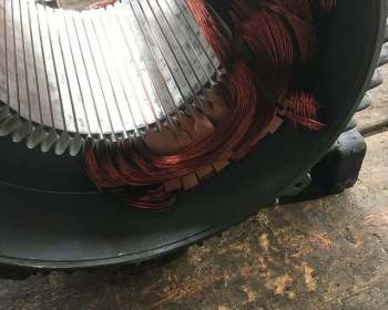 275589804_140704291778251_5186173164884487284_n