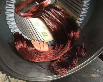 275598827_414935463735543_8711732716355861573_n