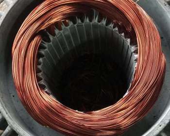 275617813_948299719211270_9155115353175371956_n