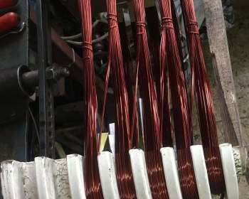 275694357_3111753685703319_3718274536540178587_n