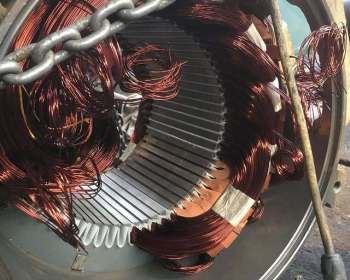 275716735_1408707152922181_5786114564252707013_n